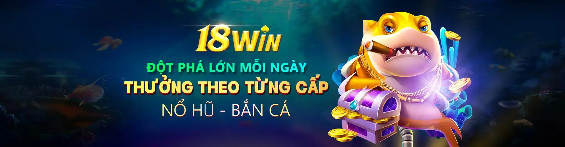 Banner 18win