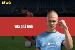 Vua Phá Lưới Bóng Đá Và Câu Chuyện Đằng Sau Sự Thành Công
