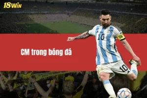 CM Trong Bóng Đá Đóng Vai Trò Gì Trong Chiến Thuật?